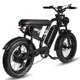 MX10 Apex Fox E-bike